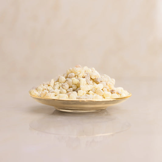 Premium Omani Luban frankincense resin – edible natural gum from Dhofar, Oman
